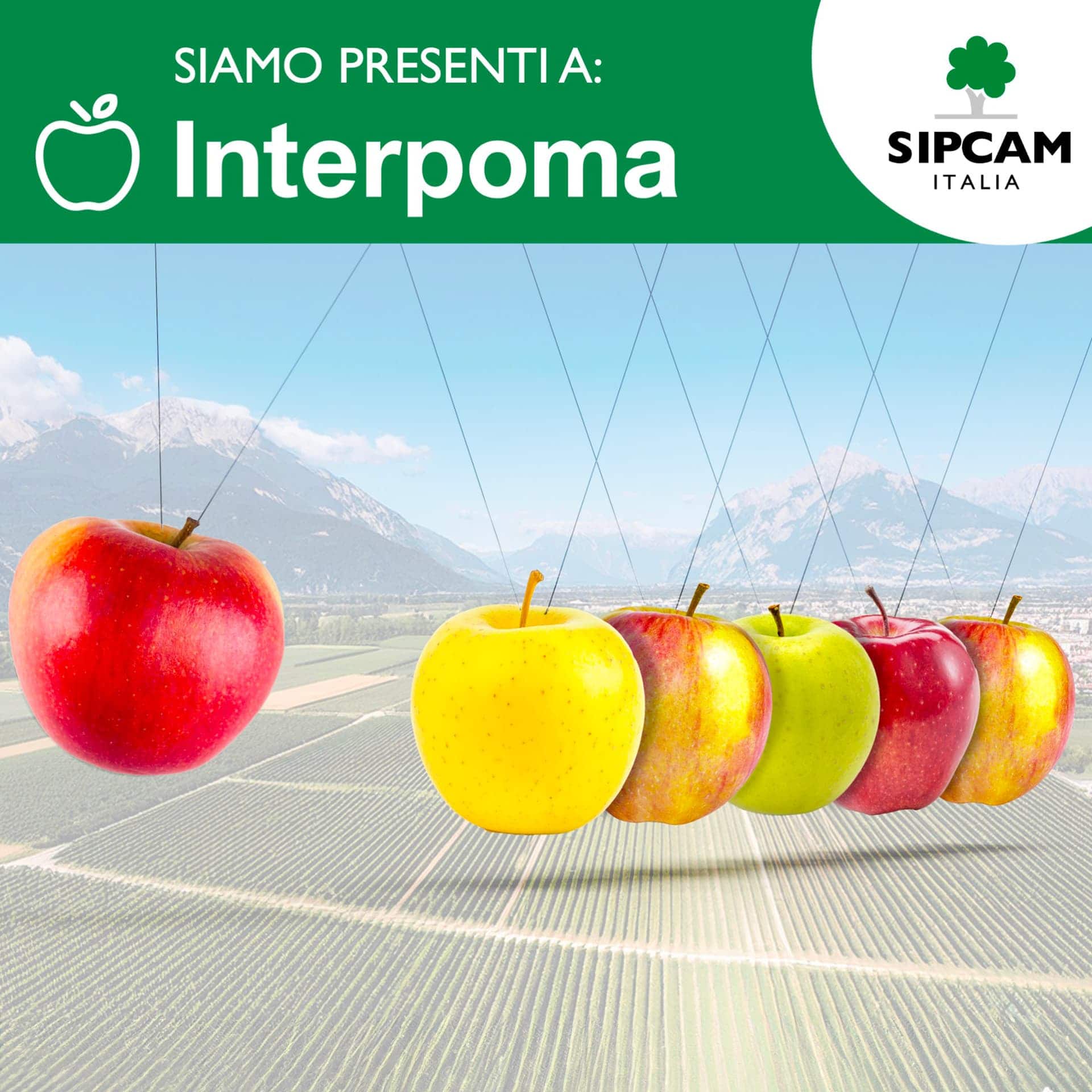 Interpoma 2024: le soluzioni speciali di Sipcam per il melo